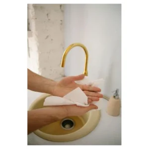 Paper Towels 12-Roll Mega Pack