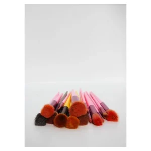 Makeup Brush Set 15-Piece