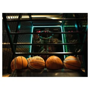 Basketball Indoor/Outdoor 29.5