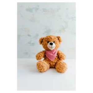 Plush Teddy Bear 18 Inch